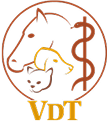 Verband Deutscher Tierheilpraktiker