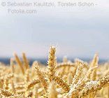 © Torsten Schon - Fotolia.com