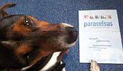 2012-04-Paracelsus7