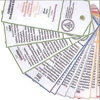 2011-02-Kinesiologie4