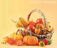 © Foxy_A - Fotolia.com