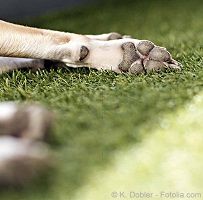 © K. Dobler - Fotolia.com