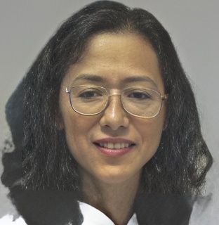 Yujuan Luan