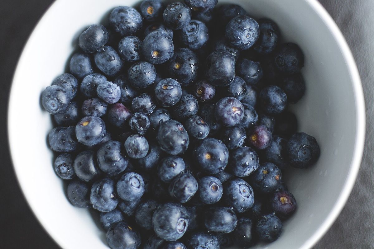Eine weiße Schüssel voller frischer Heidelbeeren