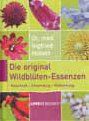 2011-06-Buch5