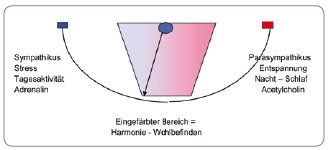 2011-06-Stoerfeld2