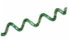 Arthrospira (Spirulina) platensis und maxima