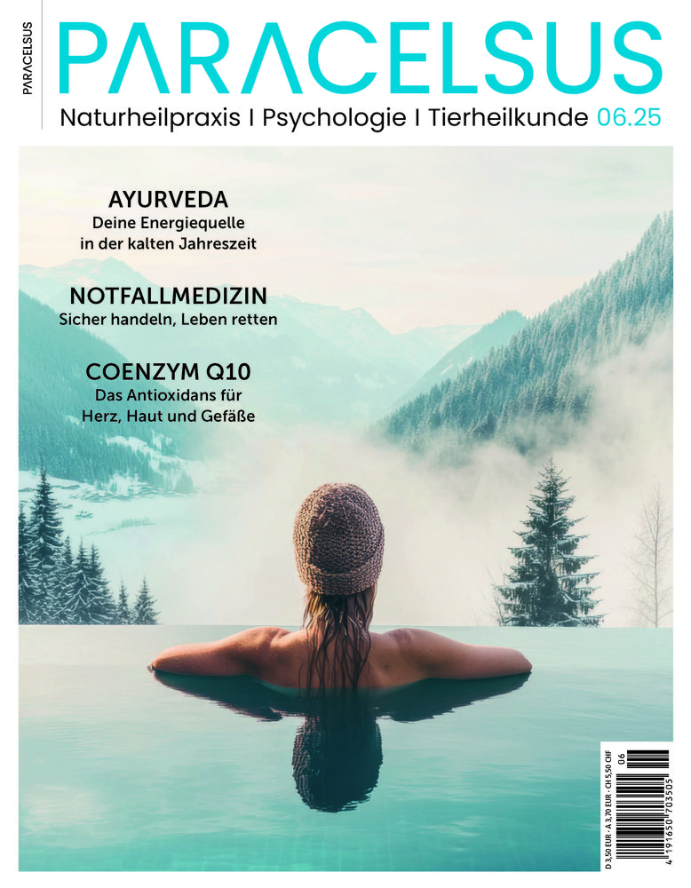 Ausgabe 06/2025