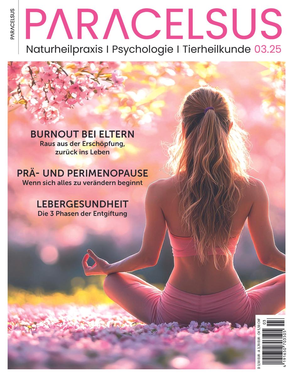 Ausgabe 03/2025