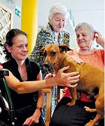 2011-04-Hund2