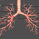 pulmonary-vessels